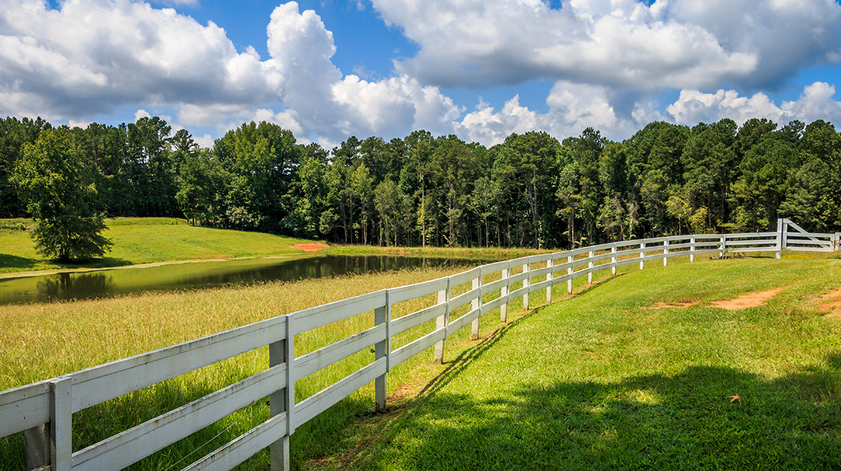 How We Can Help with Boundary Line Disputes